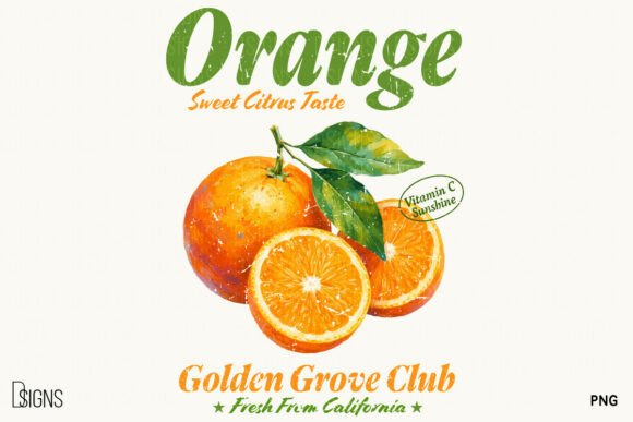 Download Retro Orange Vintage Summer Fruit PNG - Vintage Collection